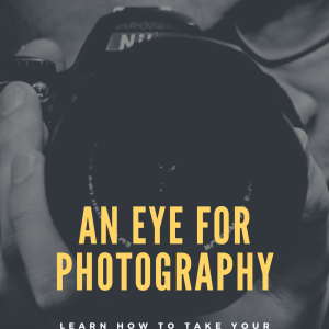 An Eye for Photography